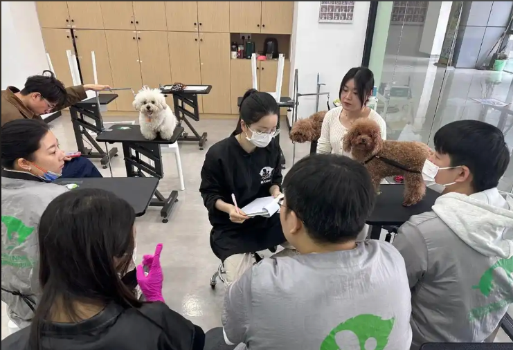 信阳市宠物美容师宠物美容培训学校 - 推荐